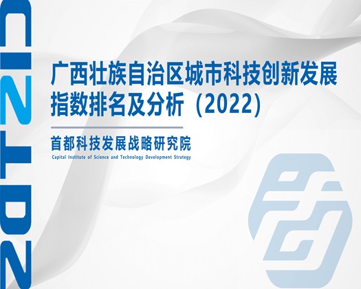 黑人的大鸡巴操亚洲女人的视频【成果发布】广西壮族自治区城市科技创新发展指数排名及分析（2022）